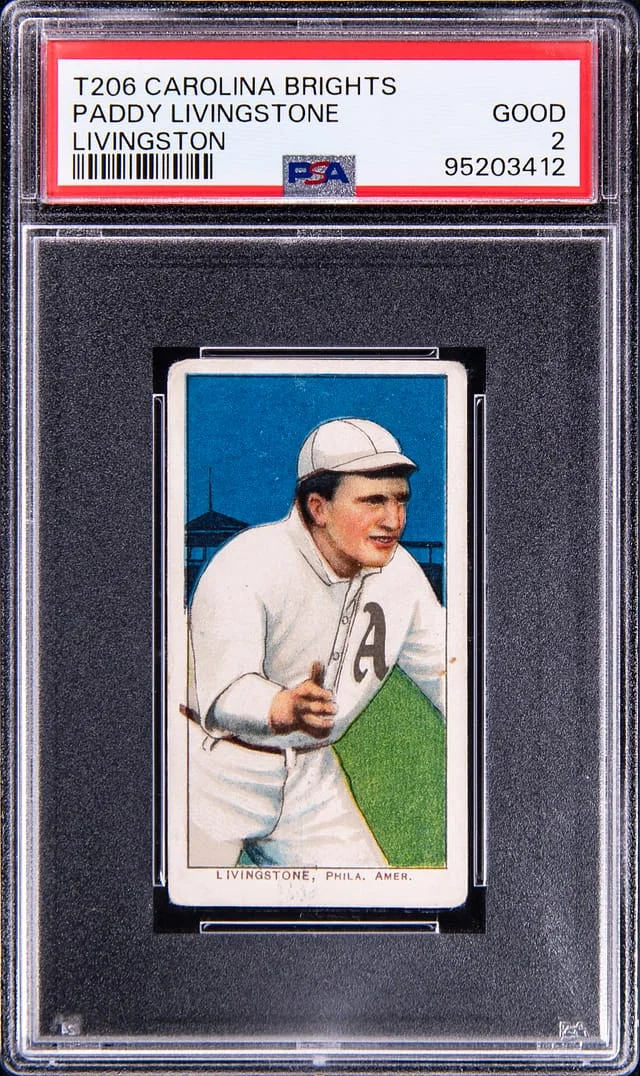 1909-11 T206 Paddy Livingstone - Scarce Carolina Brights Back White Border #no-number card image