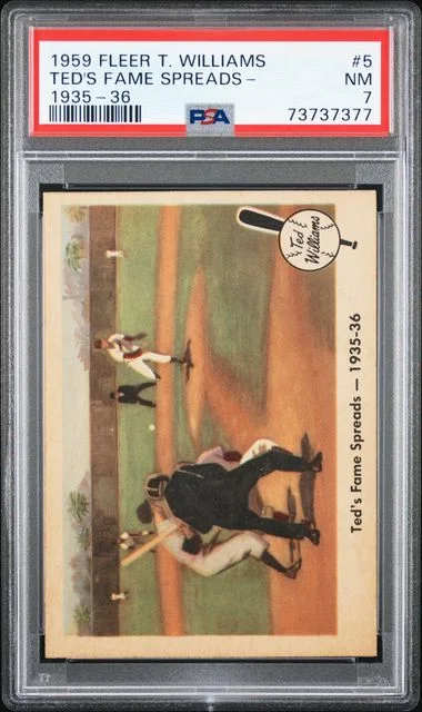 1959 Fleer Ted's Fame Spreads Ted Williams 1935-36 #5 card image