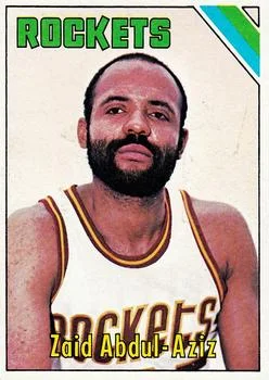 1975-76 Topps Zaid Abdul-Aziz #49 card image