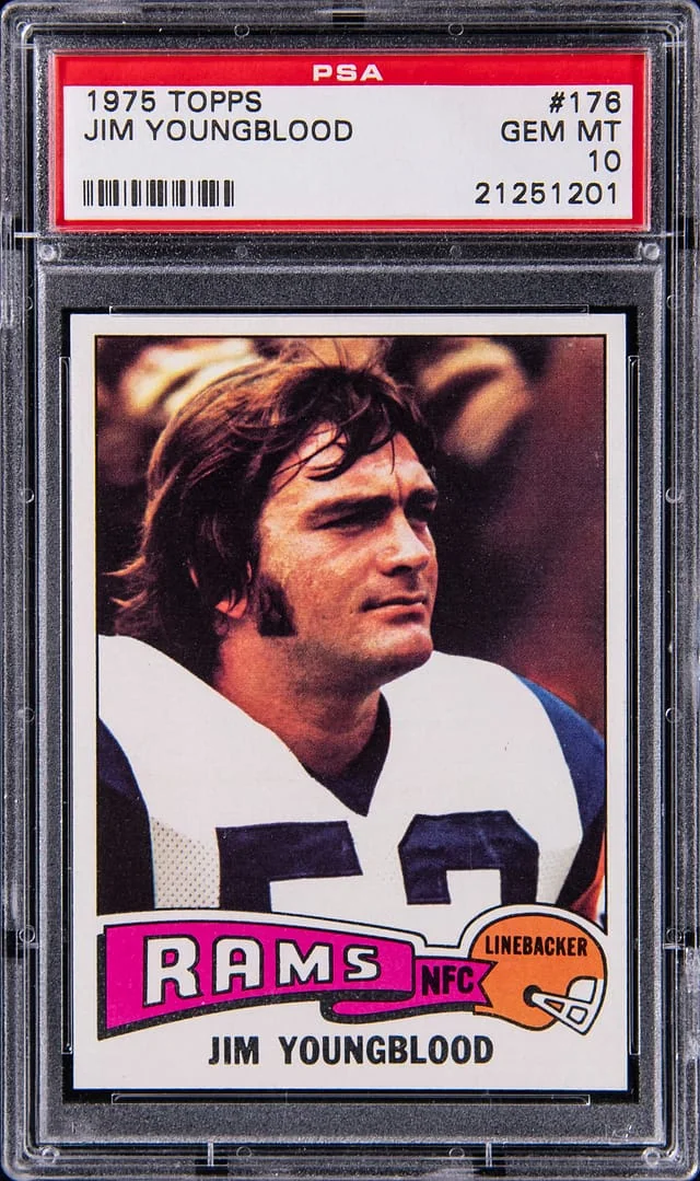 1975 Topps Jim Youngblood #176 card image