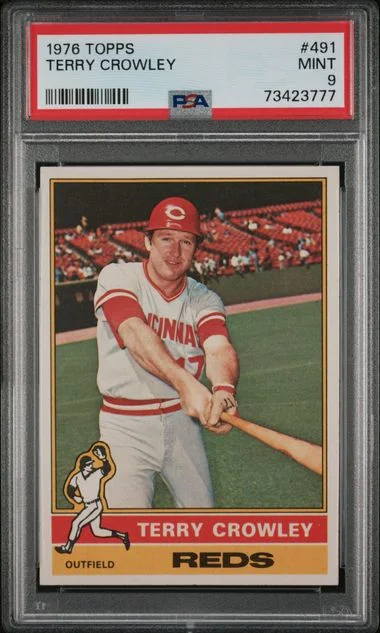 1976 Topps Terry Crowley #491 card image