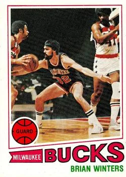 1977-78 Topps Brian Winters #48 card image
