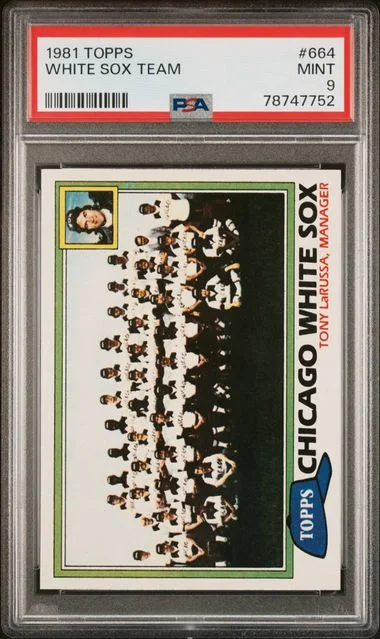 1981 Topps White Sox Team #664 card image