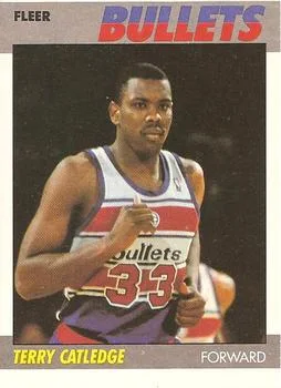1987-88 Fleer Terry Catledge #18 card image