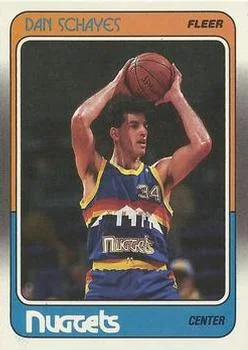1988-89 Fleer Danny Schayes #37 card image