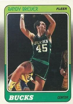 1988-89 Fleer Randy Breuer #73 card image