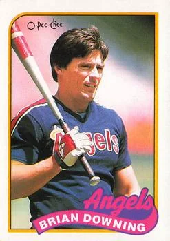 1989 O-Pee-Chee Brian Downing #17 card image