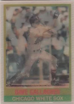 1989 Sportflics Dave Gallagher #88 card image