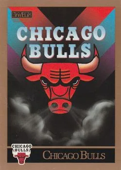 1990-91 SkyBox Chicago Bulls Logo/Checklist #331 card image