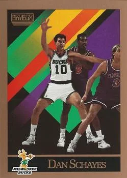 1990-91 SkyBox Dan Schayes #395 card image