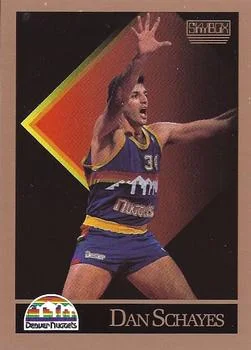 1990-91 SkyBox Dan Schayes SP #81 card image
