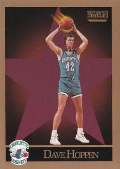1990-91 SkyBox Dave Hoppen #31 card image