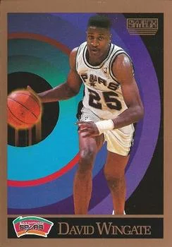 1990-91 SkyBox David Wingate SP #262 card image