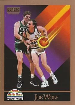 1990-91 SkyBox Joe Wolf #381 card image