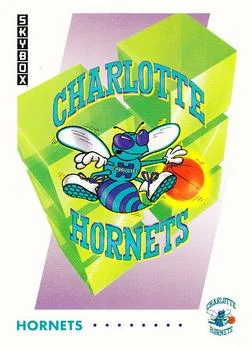 1991-92 SkyBox Charlotte Hornets TC #353 card image