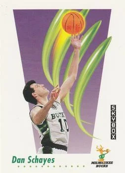 1991-92 SkyBox Dan Schayes #164 card image