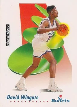 1991-92 SkyBox David Wingate #653 card image