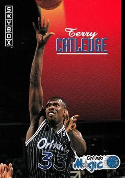 1992-93 SkyBox Terry Catledge #170 card image