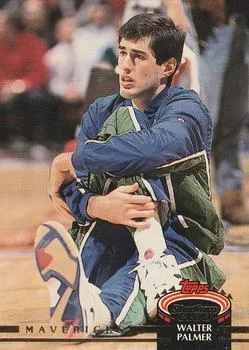 1992-93 Stadium Club Walter Palmer #309 card image