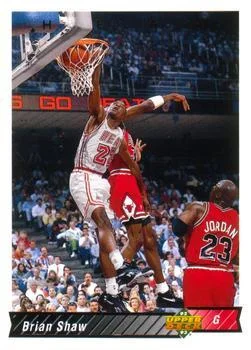 1992-93 Upper Deck European (Spanish) Brian Shaw #202 card image