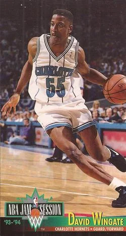 1993-94 Jam Session David Wingate Variant #26 card image