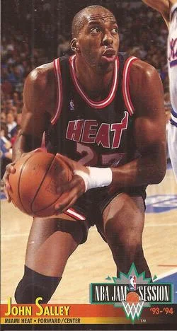 1993-94 Jam Session John Salley Variant #115 card image