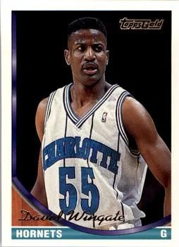 1993-94 Topps David Wingate Checklist replacement Gold #197 card image
