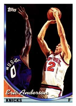 1993-94 Topps Eric Anderson Gold #329 card image