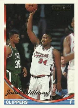 1993-94 Topps John Williams Gold #127 card image