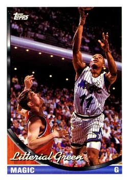 1993-94 Topps Litterial Green Variant #355 card image