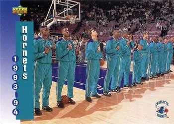 1993-94 Upper Deck Charlotte Hornets TS Variant #212 card image