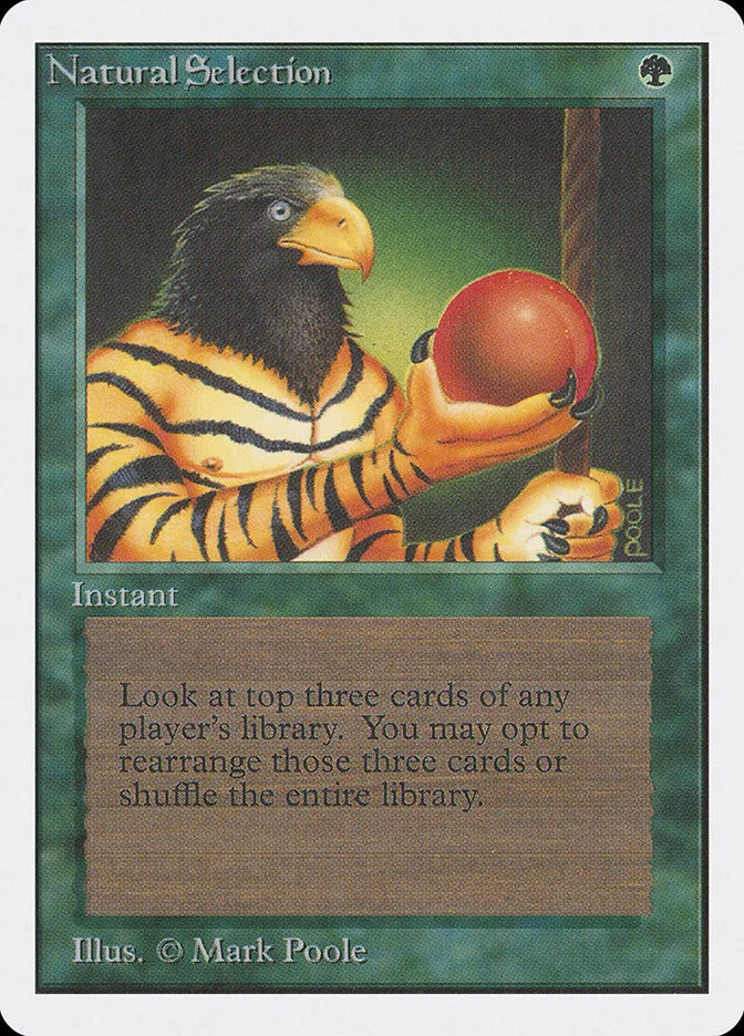 1993 Unlimited Edition Natural Selection rare #213 rare card image