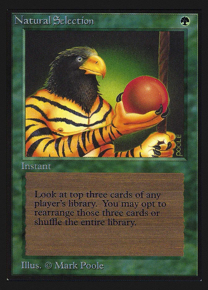 1993 Intl. Collectors' Edition Natural Selection #213 rare card image