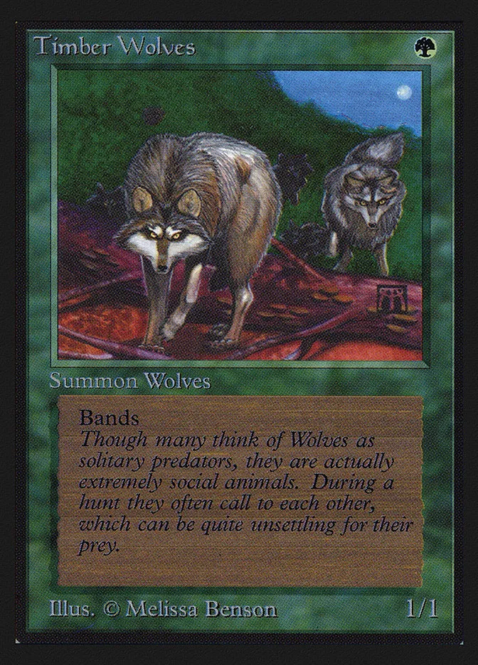 1993 Intl. Collectors' Edition Timber Wolves rare #220 rare card image