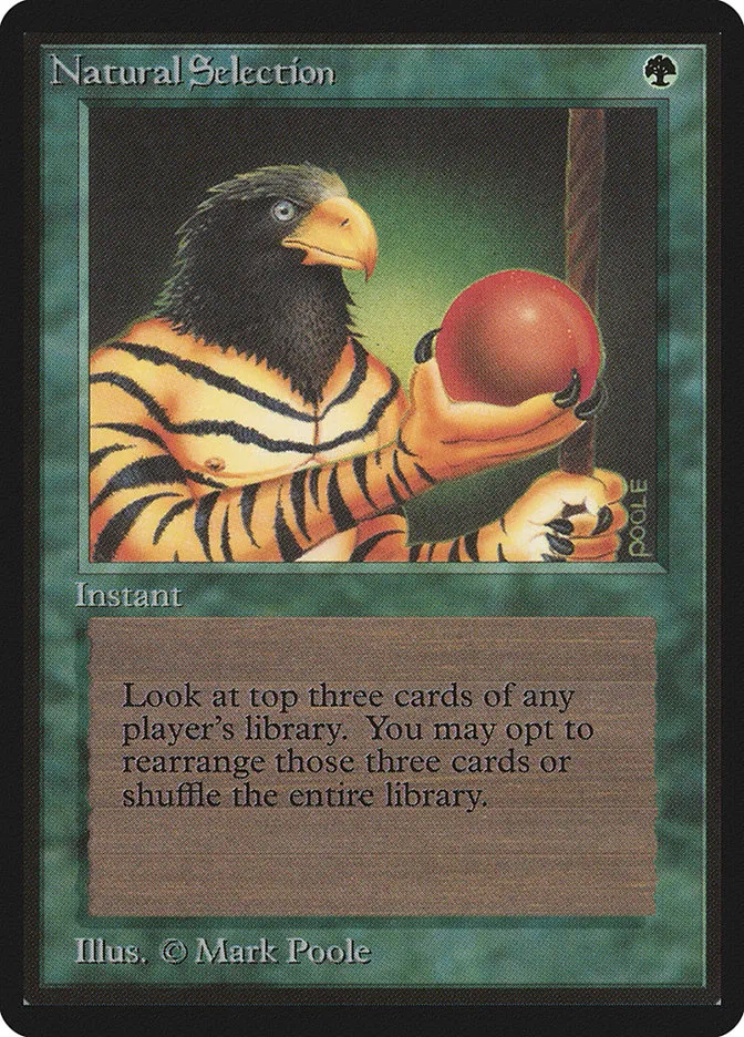1993 Limited Edition Beta Natural Selection rare #213 rare card image