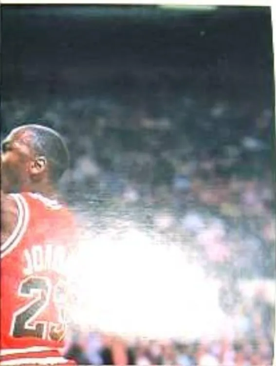 1994-95 Service Line American Pro Basketball USA Stickers (Italy) Michael Jordan #2 card image