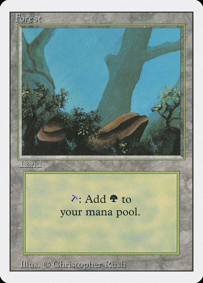 1994 Revised Edition Forest common #304 common card image