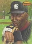 1994 Ted Williams Michael Jordan Dan Gardiner Collection #Dg1 card image