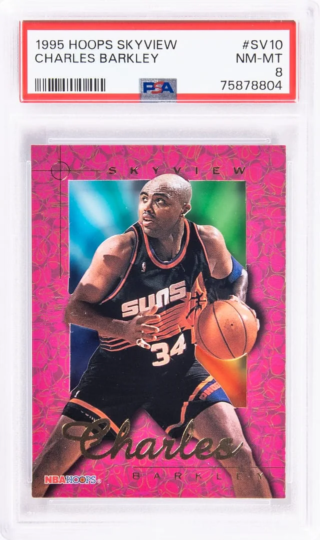 1995-96 NBA Hoops Charles Barkley Skyview #SV10 card image