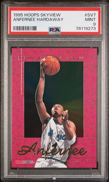 1995 Hoops Anfernee Hardaway Skyview #SV7 card image