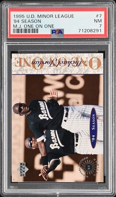 1995 Upper Deck '94 Season Minor League M.J. One On One #7 card image