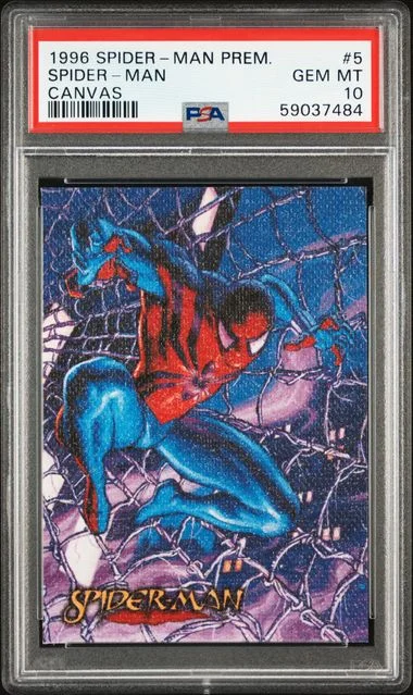 1996 Spider-Man Premium Canvas Canvas Spider-Man #5 card image