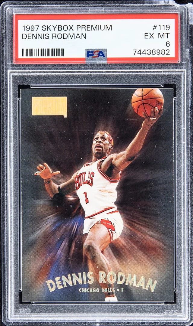 1997-98 SkyBox Premium Dennis Rodman #119 card image