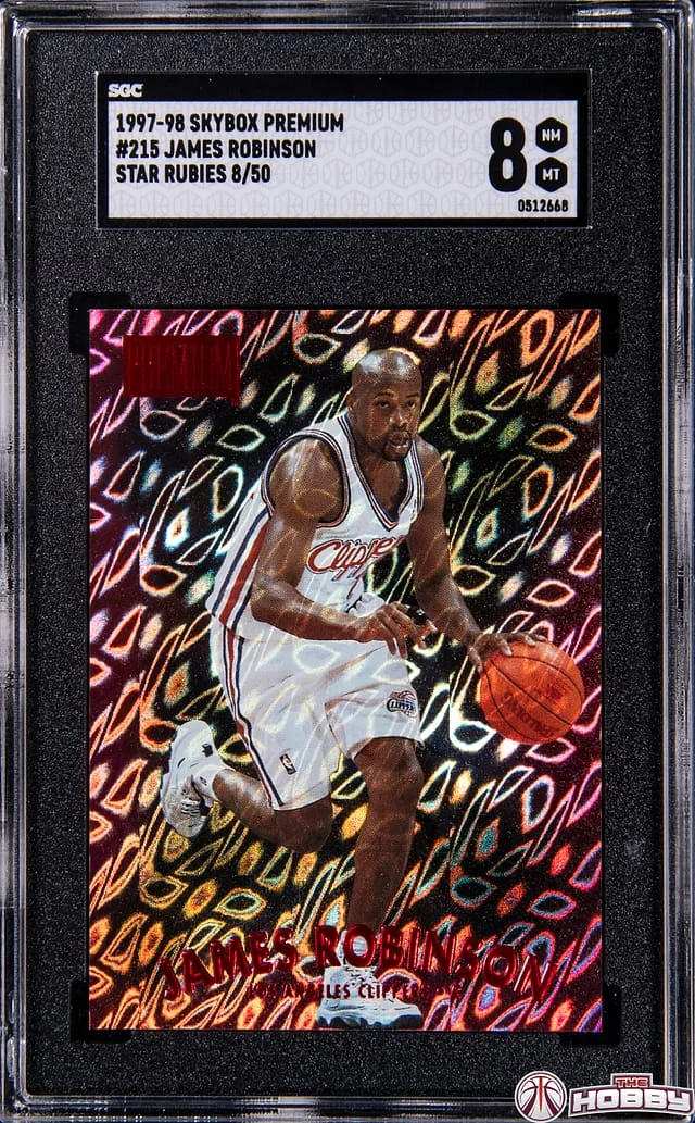 1997-98 SkyBox Premium James Robinson Star Rubies #215 card image