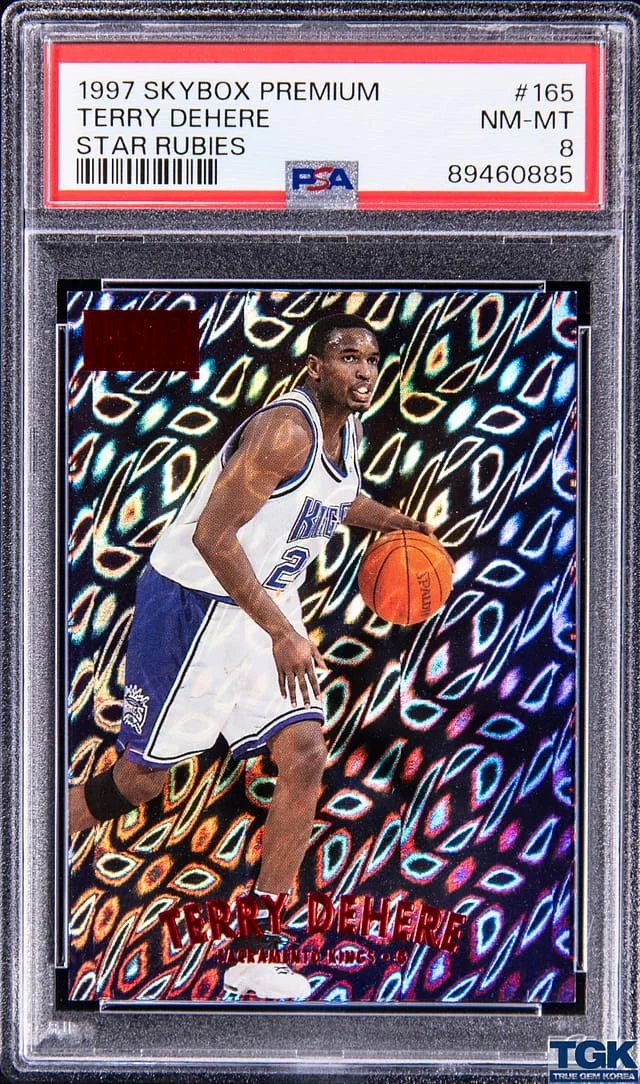 1997-98 SkyBox Premium Terry Dehere Star Rubies #165 card image