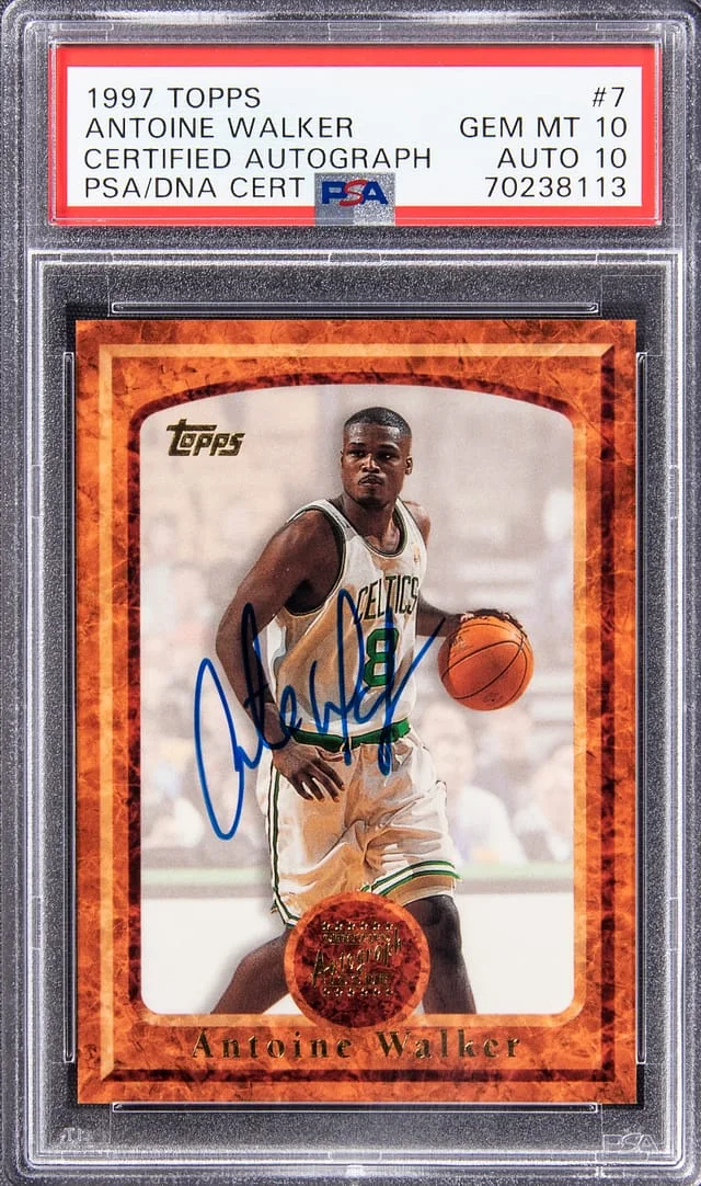 1997-98 Topps Antoine Walker Certified Autograph #7 card image