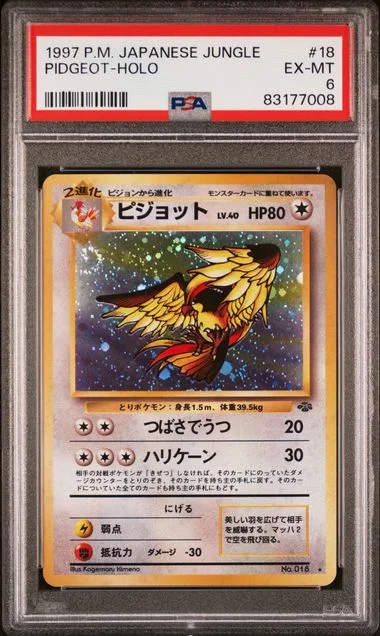 1997 Jungle Pidgeot Rare Holofoil #18 card image