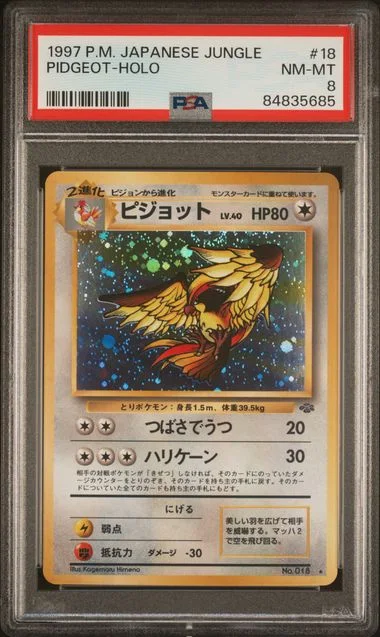 1997 Jungle Pidgeot-Holo #18 card image