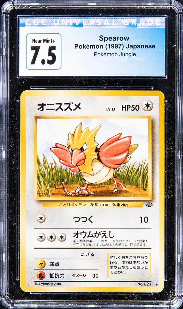 1997 Jungle Spearow #21 card image