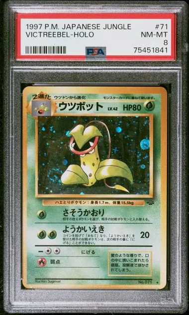 1997 Jungle Victreebel-Holo #71 card image
